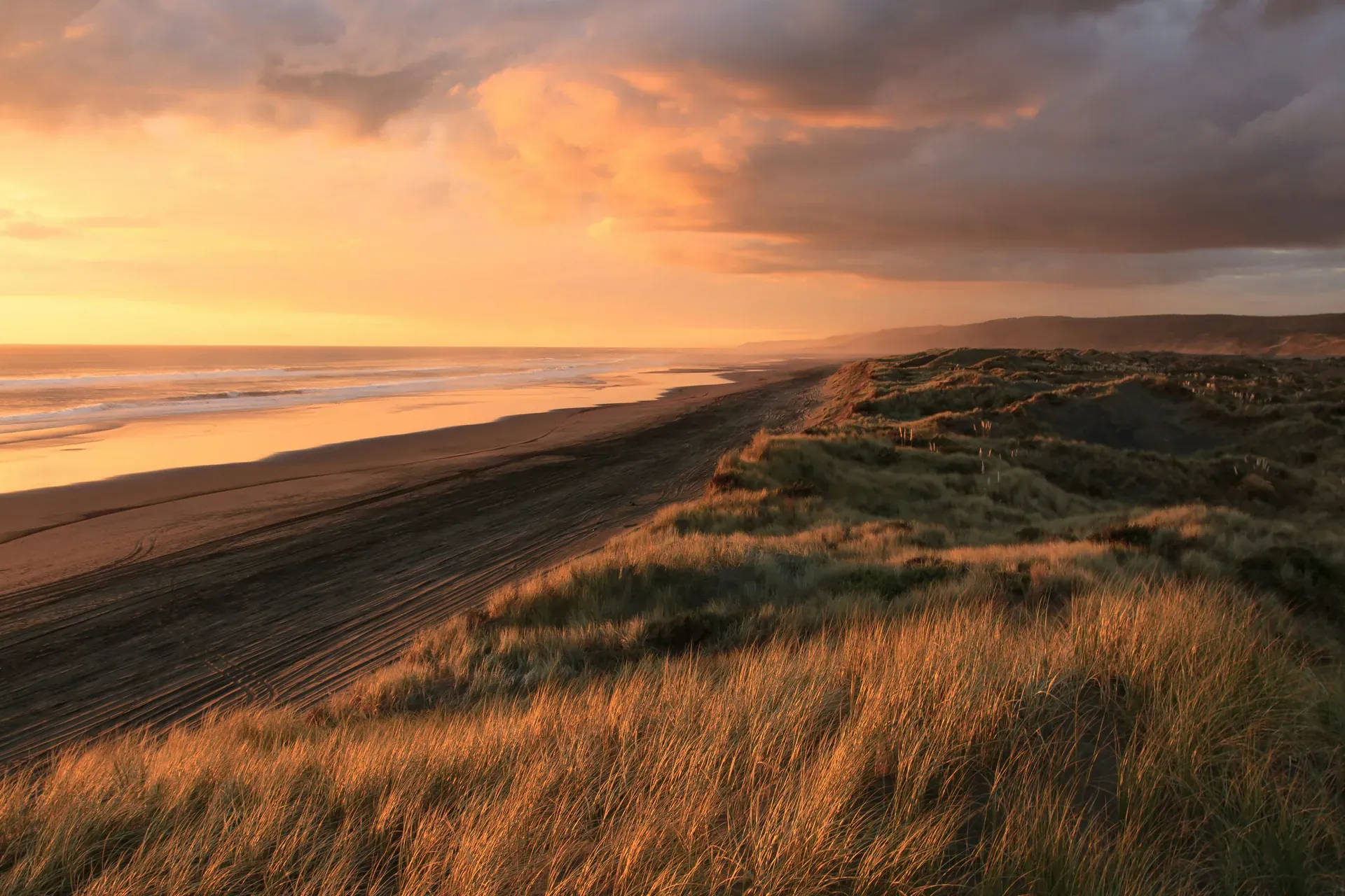 Golden light across coastal dunes